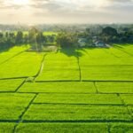 Finding Your Perfect Piece of Land